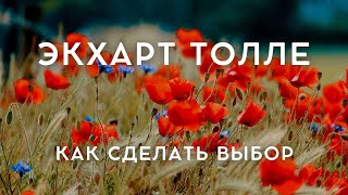 Экхарт Толле  НА ЧТО ОПИРАТЬСЯ ЧТОБЫ СДЕЛАТЬ ВЫБОР Лекции 01 Nikosho [upl. by Domella458]