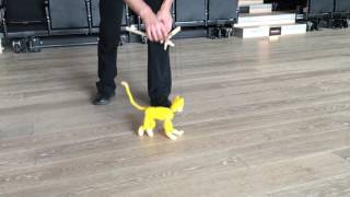 Playing with Cat Marionette [upl. by Mueller]