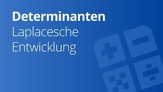 Determinanten von 4x4Matrizen Laplaceschen Entwicklungssatz  Naturwissenschaften und Mathematik [upl. by Htidirrem367]