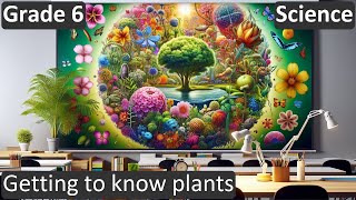 Grade 6  Science  Getting to know plants  Free Tutorial  CBSE  ICSE  State Board [upl. by Esirehc]