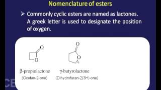 Carboxylic Acid Derivatives [upl. by Drusy994]