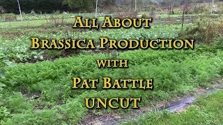 Brassica Production with Pat Battle [upl. by Tnahsin]