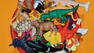 Safari animals toys Figurines collection  Zoo animals figure  plastic animals  wild animal toys [upl. by Eelessej]