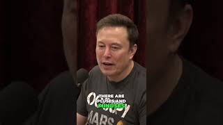 Elon Musk on the Dark Side of Adderall Anger Issues Uncovered [upl. by Ferne775]