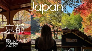 🇯🇵京都嵐山小火車🚄嵐山天龍寺🐾祐齋亭🍁2023秋季楓葉自由行✨🍽️Japan vlog [upl. by Resor]