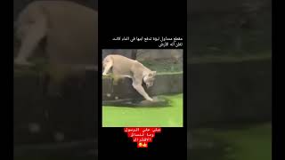 سبحان الخالق العظيم 😨😇 اكسبلور كيفيه علمالنفس شعر [upl. by Hamid]