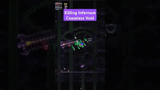 Killing Ceaseless Void In Infernum terraria calamity infernum gaming [upl. by Enyehc]