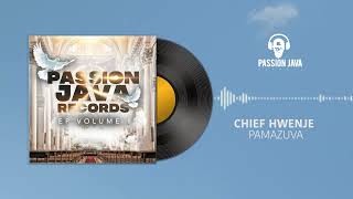 Passion Java Records ft Chief Shumba Hwenje  Pamazuva Audio visual [upl. by Icam858]