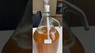 Traditional mead fermentation started homebrewing meadmaking howtomakemead [upl. by Bergeman636]