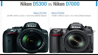 Nikon D5300 vs Nikon D7000 Comparison [upl. by Allegna979]