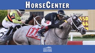 Pegasus Preview Day top picks on HorseCenter [upl. by Aneetsirhc471]