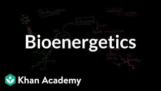 Bioenergetics The transformation of free energy in living systems  MCAT  Khan Academy [upl. by Candice]