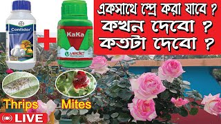 Confidor  kaka sprey Golap Gacher Porichorja  Rose Plant Care  Bagan Bari Bapan [upl. by Bathsheba]