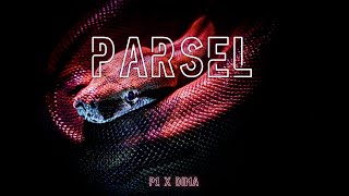 P1 X DIMA  PARSEL VISUALIZER [upl. by Efthim]