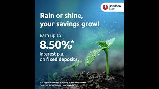 Fixed Deposit  Bandhan Bank [upl. by Oznohpla326]