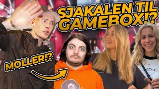 SJAKALEN TIL GAMEBOX DANMARKS STØRSTE GAMING EVENT [upl. by Matthaus]