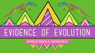 Evolution Its a Thing  Crash Course Biology 20 [upl. by Samid]