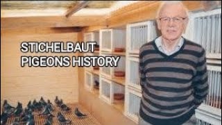 STICHELBAUT PIGEONS HISTORY [upl. by Henricks584]