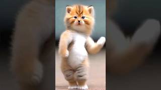 rifle ke nok par dance funny cute [upl. by Nama413]