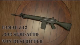 FAMAE SG542 308 SemiAuto Chilean Rifle Hands On aka quotSig SG 540quot [upl. by Nabalas]