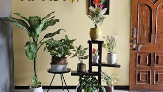 HOW I WATER INDOOR PLANT KAARIGIRIBYMAYURIPATEL [upl. by Nnyllaf326]