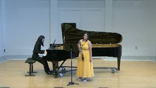 LANDSCAPES for PIANO amp CLARINET VERSION ADRIANA FIGUEROA COMPOSER [upl. by Kehsihba]