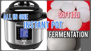 Instant Pot  Idli Making  All in one Pot  Batter Fermentation  Steaming Idli [upl. by Ariom]