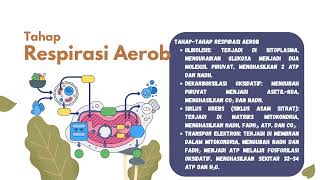 BIOLOGI RESPIRASI AEROB DAN ANAEROB [upl. by Hepsiba]