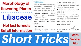 Liliaceae family  Short tricks with yo yoo bio  Morphology of flowering plants  NEET  NCERT [upl. by Yenal]