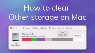 What is Other in Mac Storage How to clear Other storage on Mac [upl. by Nwahsram401]