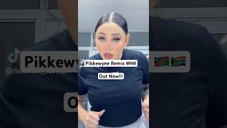 Pikkewyne Remix Out Now namibia amapiano afrikaans [upl. by Kathlene]