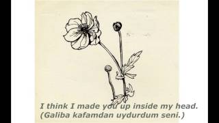 Sylvia Plath  Mad Girls Love Song Türkçe Çeviri [upl. by Ries]