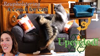 Reupholstering a Couch  For Cats Upcycle [upl. by Greenstein]