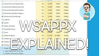 Windows 10 quotwsappxquot Explained [upl. by Verney]