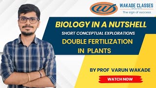 Double Fertilization in plants [upl. by Stempson285]