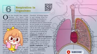 3RESPIRATION IN ORGANISMS CLASS 7 NCERT EXPLANATION SCIENCE [upl. by Nnylaj]