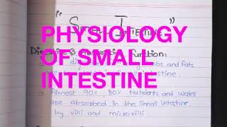 SMALL INTESTINE PHYSIOLOGY  MOTOR AND SECRETORY ACTIVITY  Segmental and propulsive movement [upl. by Aggappera759]