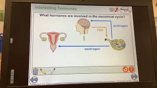 KS4GCSEBIOLOGYHormones Menstrual cycle hormones LH FSH Oestrogen and Progesterone [upl. by Solita]