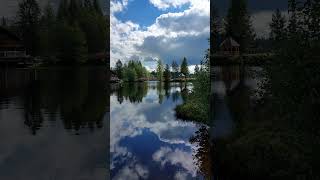 fichtelsee fichtelgebirge lake water autumn newshorts bavaria [upl. by Sewell]