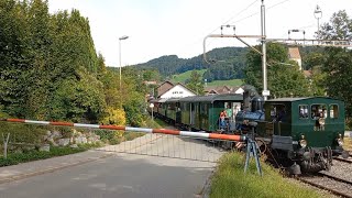 Bahnübergang Bäretswil CH  Swiss Railroad Crossing [upl. by Campagna]