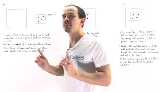 Dialysis Protein Purification [upl. by Yhotmit972]