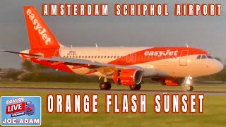 Amsterdam Schiphol Airport Live Monday 04292024 [upl. by Britte]