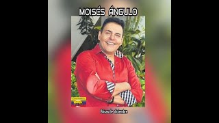 MOISÉS ÁNGULO  BRISAS DE DICIEMBRE LETRA [upl. by Sillsby398]