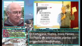 JOSEP PÀMIES plantas con propiedades medicinales [upl. by Anaugahs529]