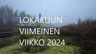 Lokakuun viimeinen viikko puutarha epaonninenpuutarhuri garden [upl. by Ayor]