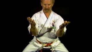 004 Don Shapland 1988 Isshinryu Seiuchin [upl. by Llener]