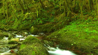 Petite Amazonie des Pyrenees [upl. by Abrahan]