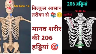 मानव शरीर की 206 हड्डियां कौन कौन सी होती है  Total Human Body Bones 206  HAP Biology Hindi [upl. by Kuehn]