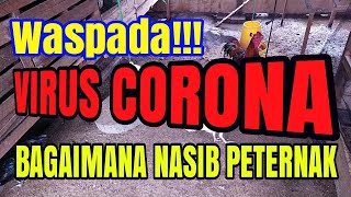 Waspada Tentang Corona Virus dan Bagaimana Menyikapinya [upl. by Isawk]