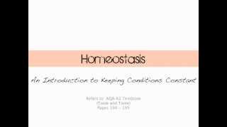 Introduction to Homeostasis [upl. by Anitsrhc]